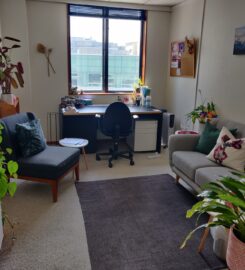 Bright and sunny therapy room