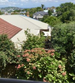 Consulting Suite in Mount Eden available two days per week