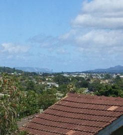 Consulting Suite in Mount Eden available two days per week