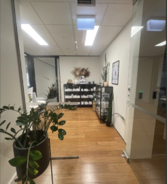 Flexible CBD lease in Wellington CBD
