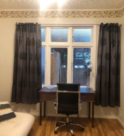 Spacious room in Point Chevalier