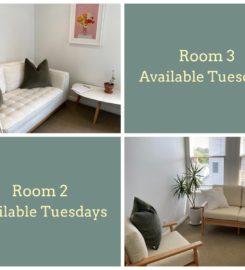 Therapy Rooms for Rent – Parnell