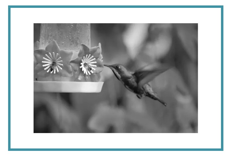 Lizzie Scott, Psychologist, Christchurch TalkingWorks