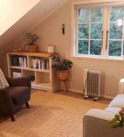 Beautiful Therapy Room in Titirangi