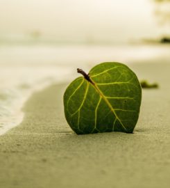 Soulful Journeys: Embracing Wholeness in Uncertain Times