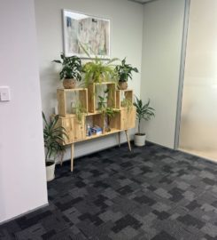 Albany Room for Rent