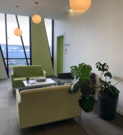 Lovely, professional rooms available in New Lynn