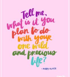 ONE WILD & PRECIOUS LIFE online course 2025: Creative and Spiritual Recovery