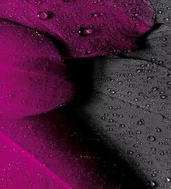 Working with survivors of childhood sexual abuse