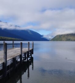 Tammy Dickinson – online and in person in Mt Eden