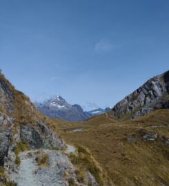 Tammy Dickinson – online and in person in Mt Eden