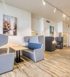 Spacious & Sunny Therapy Room for Rent – Grey Lynn