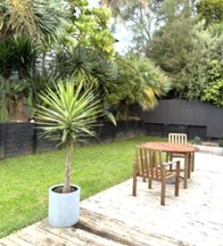 Ponsonby Professional room for rent