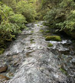Pam Bunz – Gentle Flow Counselling