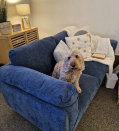 Pam Bunz – Gentle Flow Counselling